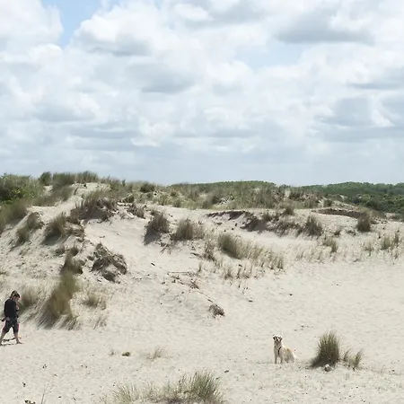 Hotel Evancy Les Peupliers Bray-Dunes